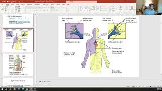 BCT Lymph System Part 1 [upl. by Alleen19]