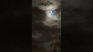 🌙 Beaver Moon timelapse Moon Night Viral [upl. by Cassondra]