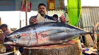 KASIMEDU 🔥 SPEED SELVAM  57 KG GIANT TUNA FISH CUTTING  IN KASIMEDU  HD VIDEO  FF CUTTTING 🔪 [upl. by Rafi]