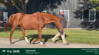 Hip 3048  Hopelands  Broodmare by Curlin IF to Corniche [upl. by Hamas708]