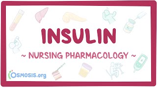 Insulin Nursing Pharmacology [upl. by Glaab652]