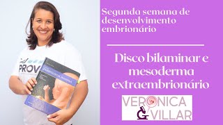 Segunda semana de desenvolvimento embrionário Disco bilaminar e mesoderma extraembrionário [upl. by Yssenhguahs434]