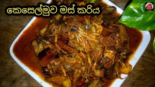 බඩ පිරෙන්න බත් කන්න කෙසෙල්මුව මෙහෙම හදන්න Keselmuwa curry Banana blossom recipe in sri lanka [upl. by Elleinaj]