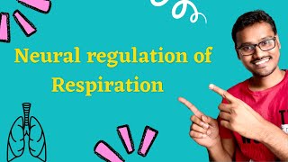 Regulation of respiration  Neural control [upl. by Tracy537]