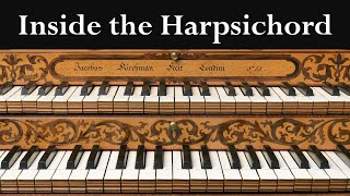 Inside the Harpsichord [upl. by Abas231]