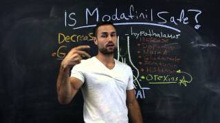 Is Modafinil safe Biohacking your mind [upl. by Nellda]