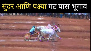 सुंदर आणि पक्ष्या गट पास भूगाव  बैलगाडा शर्यत  bailgada sharyat live  Stc live [upl. by Ahselak948]