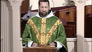 Homily 20111113  Fr Mark Mary MFVA  ThirtyThird Sunday in Ordinary Time [upl. by Hu]