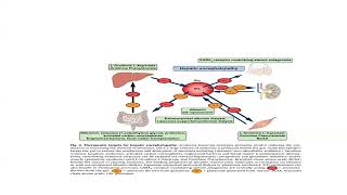 Hepatic Encephalopathy [upl. by Ehttam873]