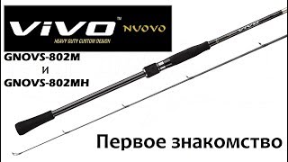 Первое знакомство с Graphiteleader VIVO NUOVO 802M и 802MH [upl. by Thurstan]