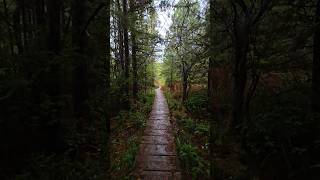 Ozette Triangle Coastal Trail  Clallam Bay Washington Peninsula 6 [upl. by Boyse939]