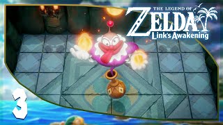 The Legend of Zelda Links Awakening Walkthrough 110  Part 3 4K60FPS [upl. by Dickson303]