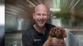 Petland Iowa City Kennel Tours [upl. by Walls]