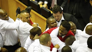 Fighting Breaks Out in South Africas Parliament [upl. by Ardnuhs88]