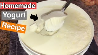 How to Make Yogurt at Home  Homemade Yogurt Recipe [upl. by Flaherty]