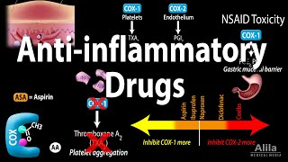 Antiinflammatory NSAIDs Drugs Pharmacology Animation [upl. by Fe]