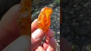 Nice carnelian with some botryoidal action carnelian agate rockhounding gemstone pnw crystals [upl. by Minier547]