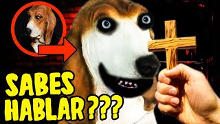 MI PERRA SABE HABLAR… NUNCA LE PREGUNTES 😱 🐶 descubro oscuro secreto de SKINWALKER ¡CORRE HUMANO [upl. by Assek]