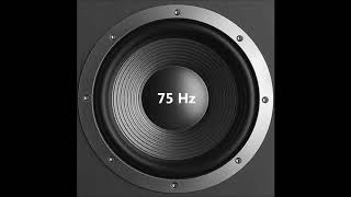 75Hz Bass Test [upl. by Cynarra887]