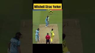 Mitchell Starc Yorker Bowling 🔥🔥 shorts cricket bowling [upl. by Cutter]