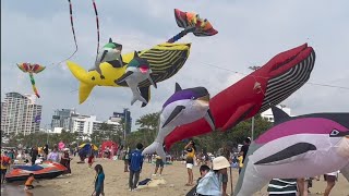 International Kite festival 2024 on the Beach ikf 2024 [upl. by Orlina]