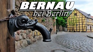 Bernau bei Berlin  Juni 2023  Bernau bei Berlin Land Brandenburg Germany  June 2023 [upl. by Prager912]