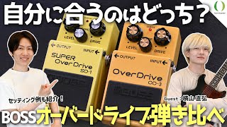 BOSSのオーバードライブを弾き比べ！SD1とOD3のサウンドの違いと活用方法を紹介！【エフェクター初心者歓迎】 [upl. by Coltson]