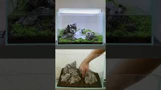 how to aquascape ama 45cm planted tank with monte carlo carpet iwagumi shorts [upl. by Ahseid]