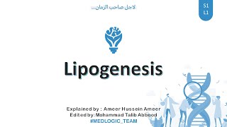 Lipogenesis Fatty Acid synthesis Part 1 [upl. by Estella]