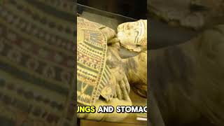 Mummification process history interesting fyp mummy ancient learning [upl. by Eimyaj]