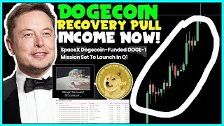 SCARY ALL DOGECOIN INVESTORS NEED TO SEE THIS FAST GOOD NEWS Elon Musk Doge Reserve [upl. by Thissa344]