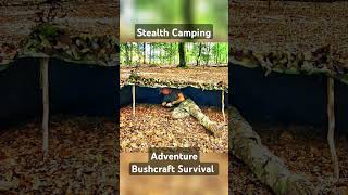 Stealth Camping bushcraft survival [upl. by Audras]