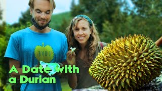 A Date with Durian on Koh Phangan durian kohphangan durianwriter [upl. by Kristofer]