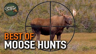 20 Moose Hunts in 20 Minutes ULTIMATE Moose Hunting Compilation  BEST OF [upl. by Oicram]