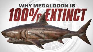 Why Megalodon is 100 EXTINCT [upl. by Broucek]