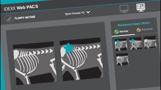 The IDEXX Web PACS Reference Image Library [upl. by Ultan]