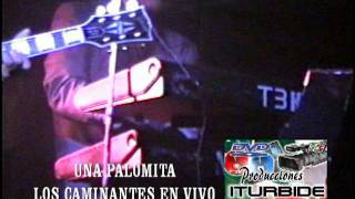 LOS CAMINANTES EN VIVO  UNA PALOMITA  1992 [upl. by Ennazus]