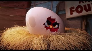 quotANGRY REDquot scene ANGRY BIRDS 2 full movie [upl. by Evvy]