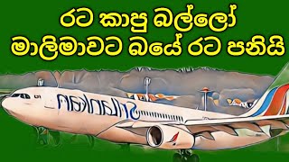 රට කාපු බල්ලො රට පනියි මෙන්න සිද්ධිය [upl. by Refinne224]