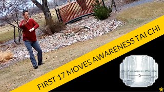 First 17 Moves of Awareness Tai Chi [upl. by Gareri664]