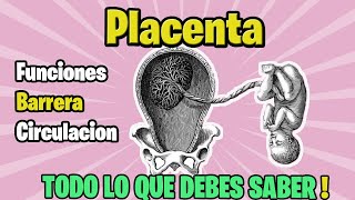 ✅PLACENTA Funciones barrera  circulación  SUPER FACIL [upl. by Adelind51]