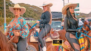 Gran Cabalgata en las Fiestas de Zarzal  Valle 😍 COLOMBIA 2024 [upl. by Chelsey28]