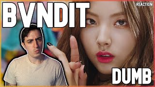 BVNDIT  quotDumbquot MV  REACTION [upl. by Arlena]