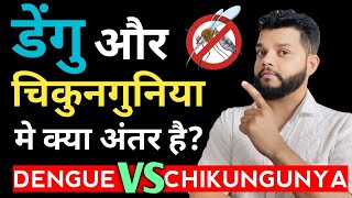 डेंगू और चिकुनगुनिया मे क्या अंतर है  Difference Between Dengue And Chikungunya  Symptoms [upl. by Sibeal]