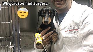 Why Crusoe had surgery [upl. by Jeminah]