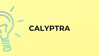 What is the meaning of the word CALYPTRA [upl. by Kress]