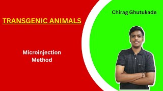 4 Microinjection Method  Transgenic Animals [upl. by Ladnor531]