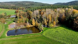 Impressionen Weiherland heute früh von unten und oben  Drohne [upl. by Nymsaj]