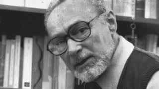 Dal libro Se questo è un uomo di Primo Levi [upl. by Amerak]