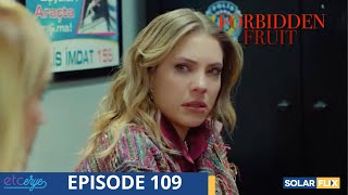 Forbidden Fruit Episode 109  FULL EPISODE  TAGALOG DUB  Turkish Drama [upl. by Clarissa]